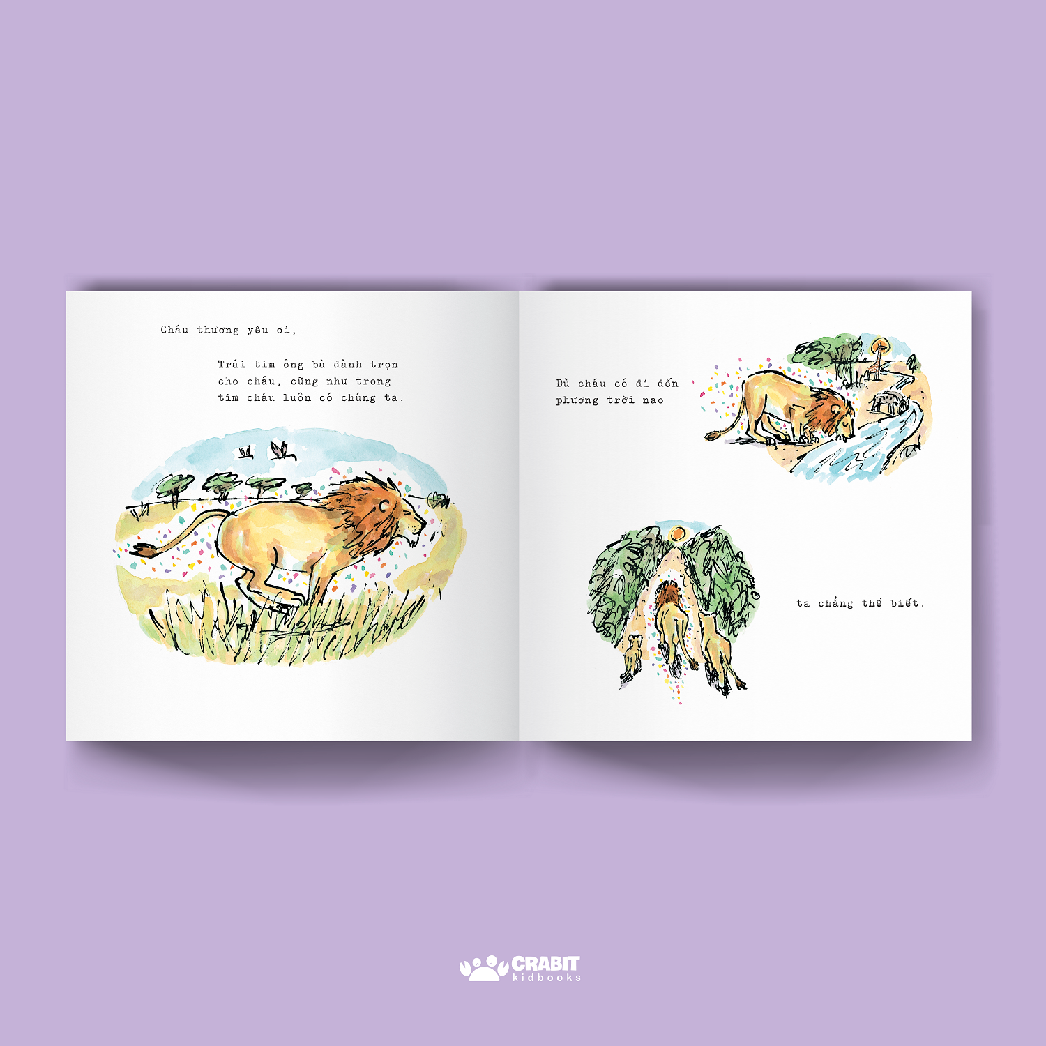 bởi tình yêu nảy nở ra … hy vọng - bìa cứng - Ảnh 4