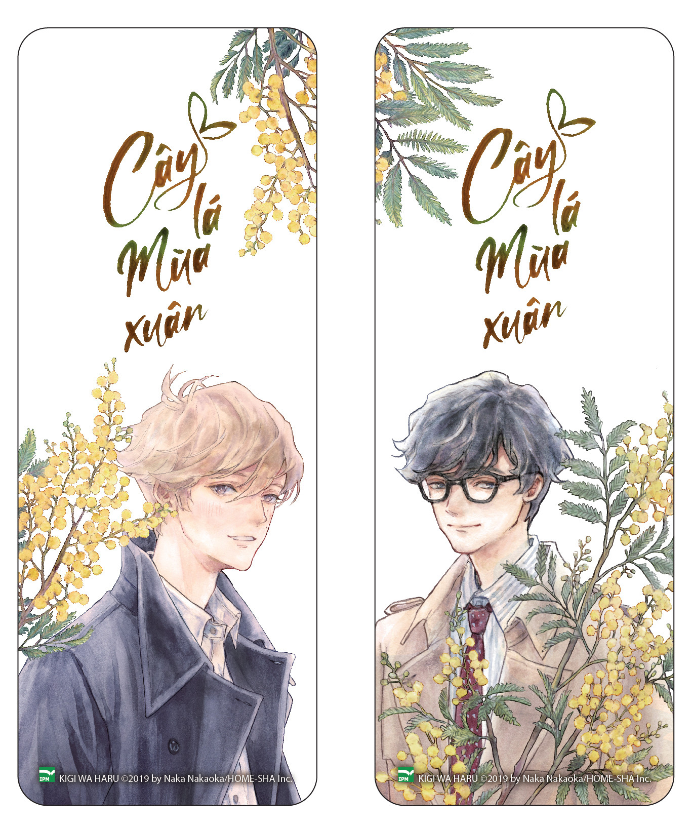 boxset tulip x mimosa - mầm cây xao động + cây lá mùa xuân (bộ 2 cuốn) - bản đặc biệt - tặng kèm 1 hộp boxset + 4 bookmark - Ảnh 6