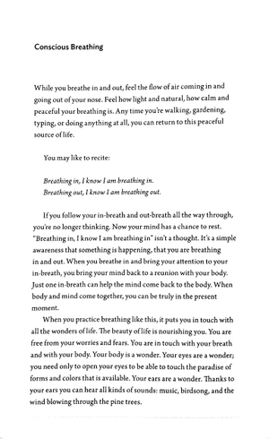 breathe: a thich nhat hanh meditation journal - Ảnh 3
