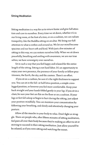breathe: a thich nhat hanh meditation journal - Ảnh 5