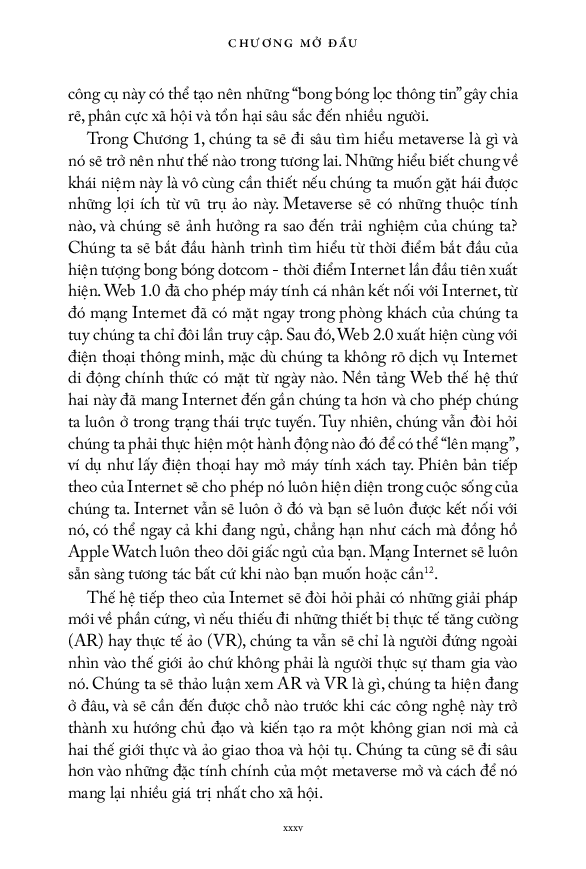 bước chân vào metaverse - để khai thác nền kinh tế tỷ đôla - Ảnh 14