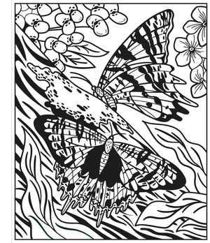 butterflies magic painting book - Ảnh 6