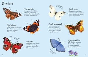 butterflies to spot - Ảnh 3