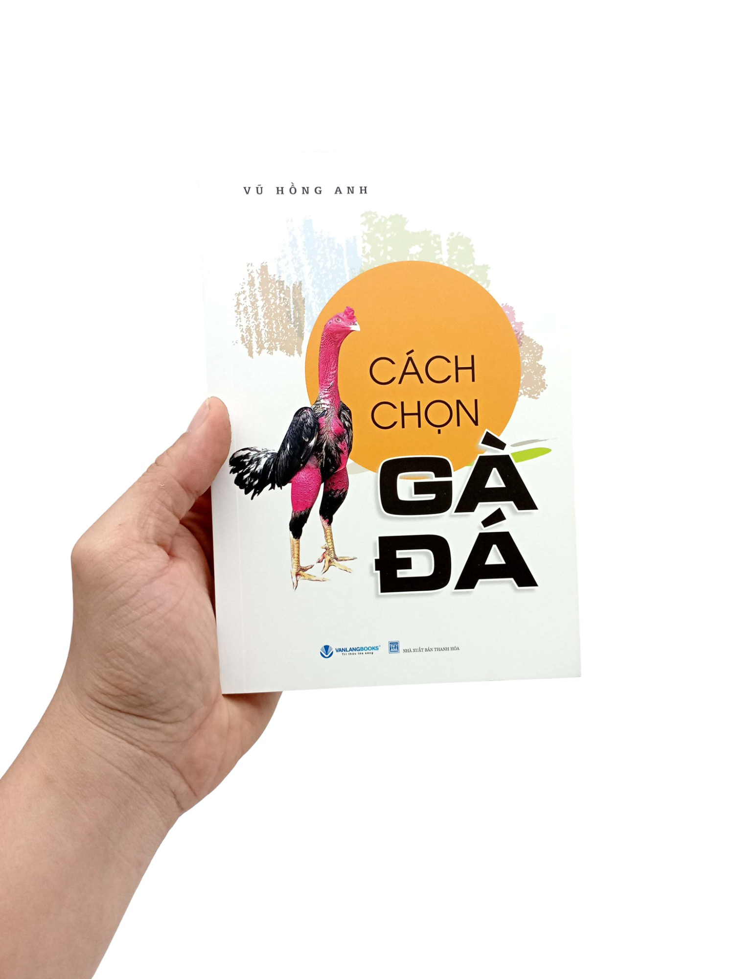 cách chọn gà đá (tái bản 2024) - Ảnh 8