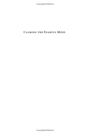 calming the fearful mind: a zen response to terrorism - Ảnh 3