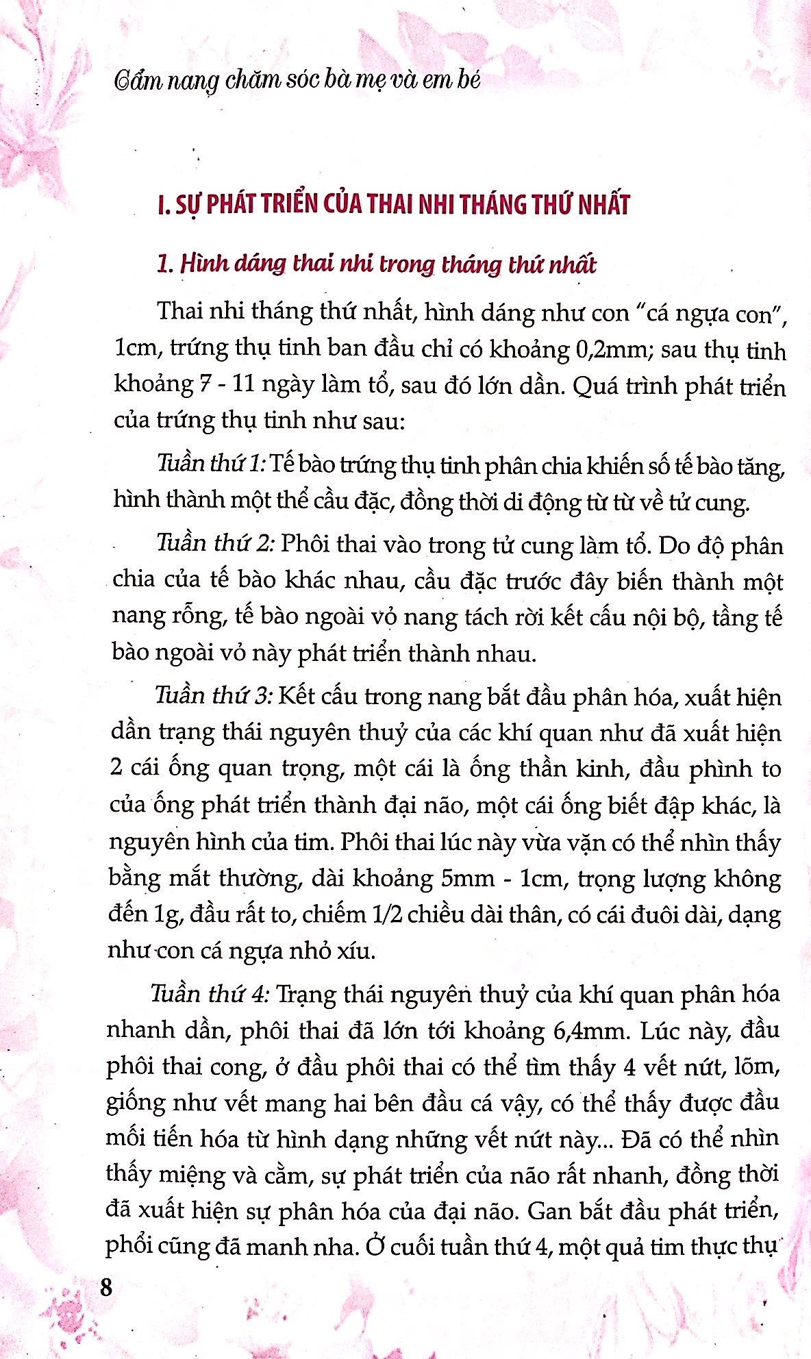cẩm nang chăm sóc bà mẹ và em bé - Ảnh 6