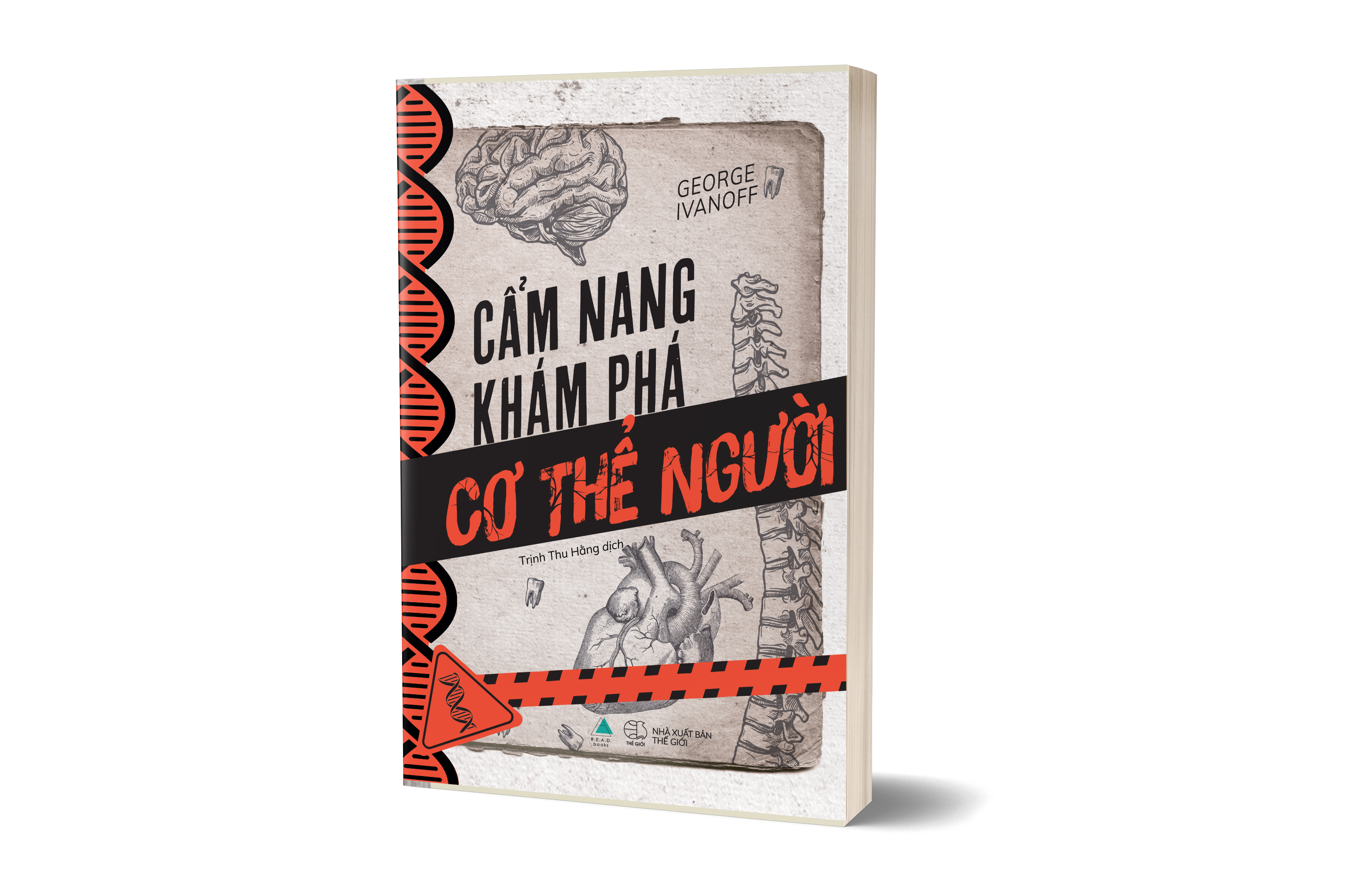 Cẩm Nang Khám Phá Cơ Thể Người (Tái Bản 2025) - Ảnh 3
