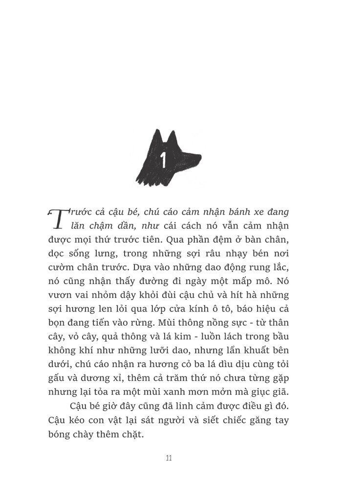 cáo pax - Ảnh 2
