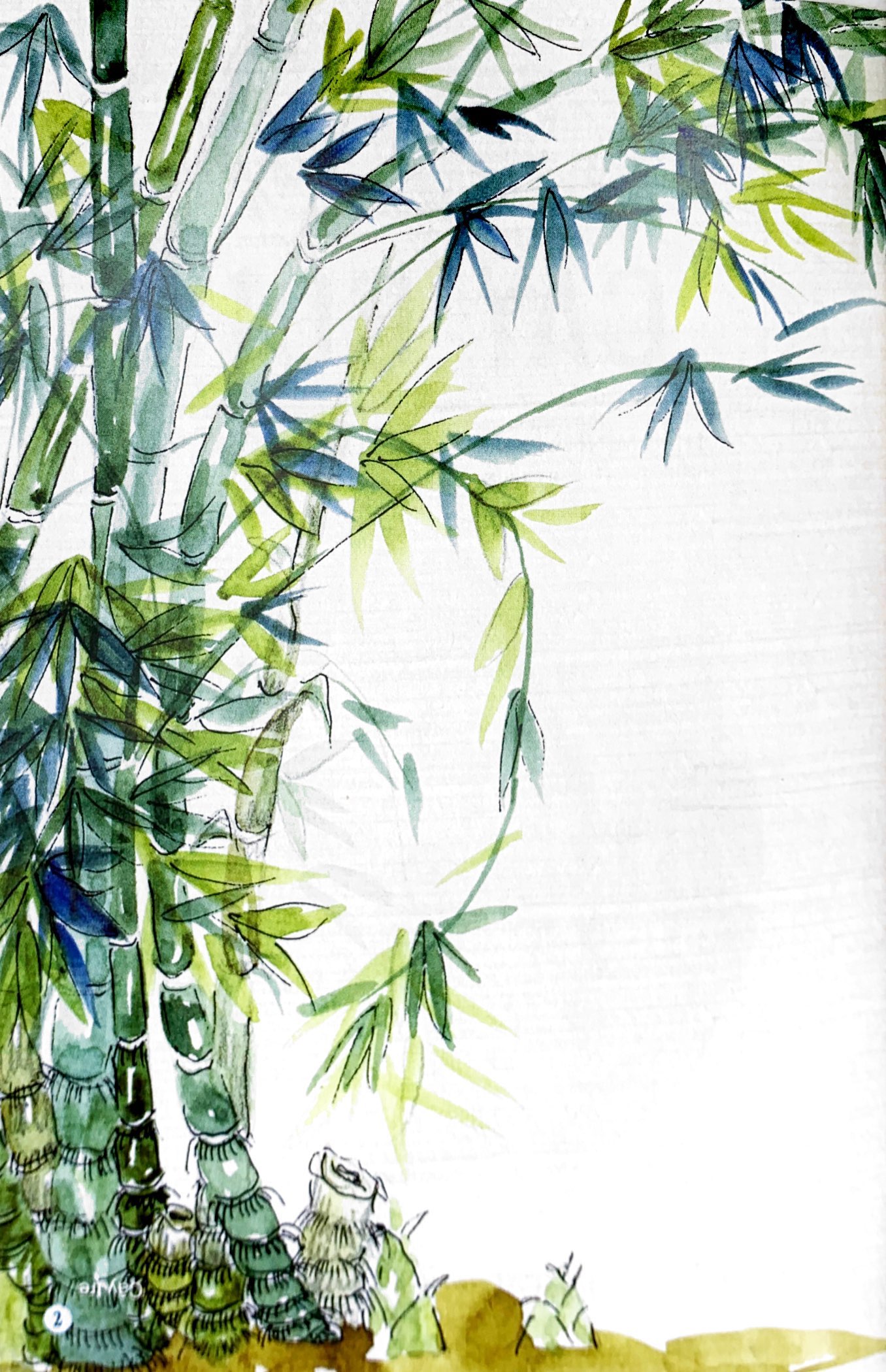 câu đố dân gian bằng tranh - cây cối (tái bản 2019) - Ảnh 3