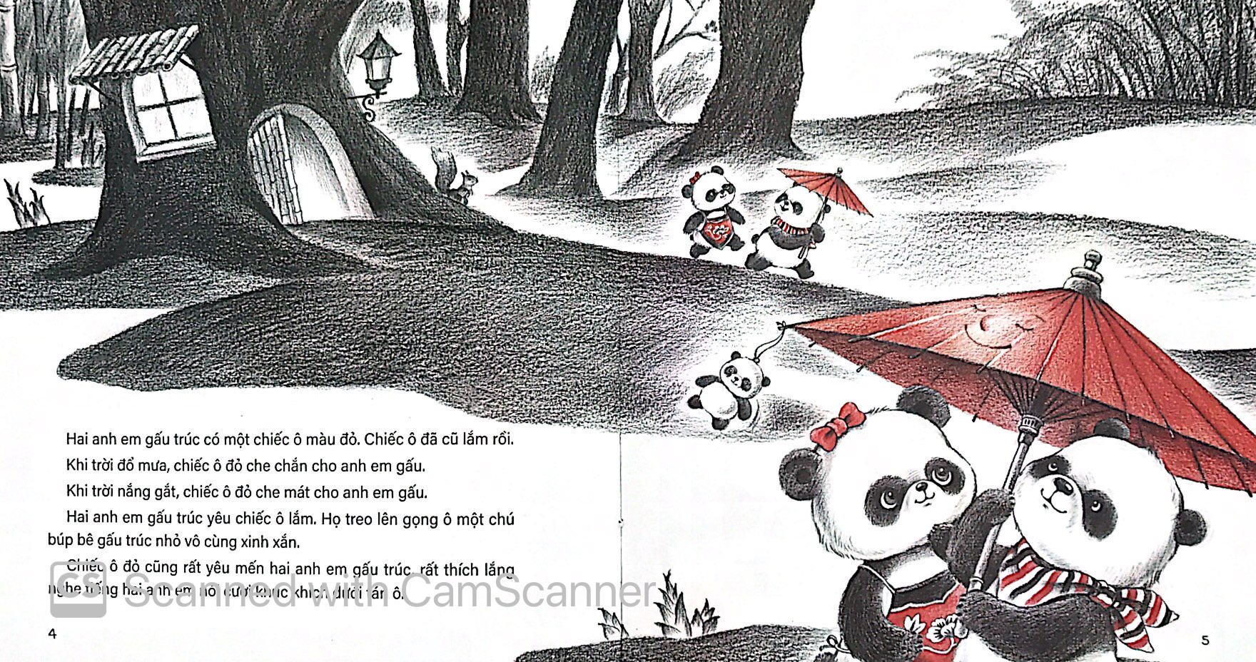 cây ô - Ảnh 2