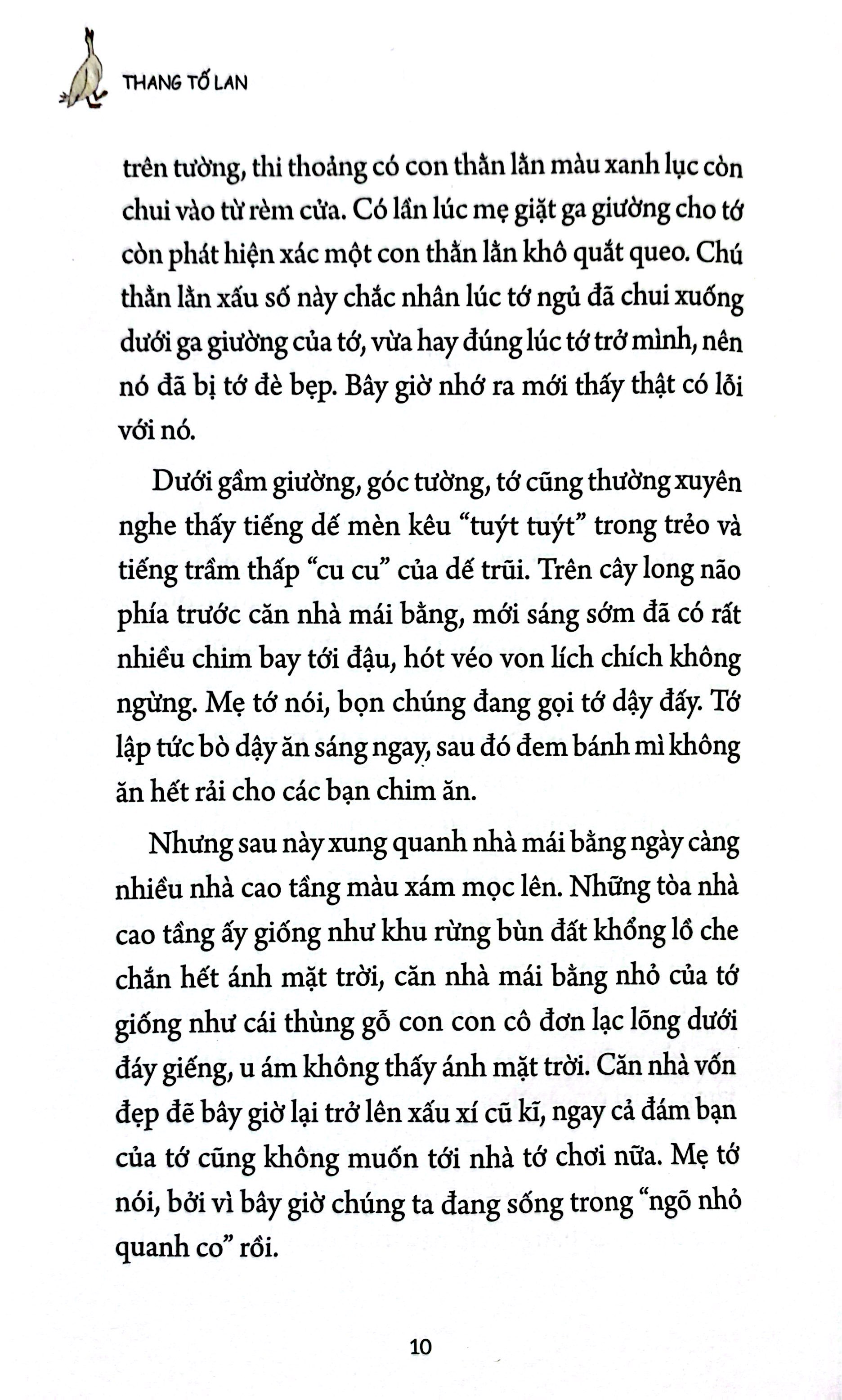Chay Theo Trai Tim Xanh (Tai Ban 2025) - Ảnh 5