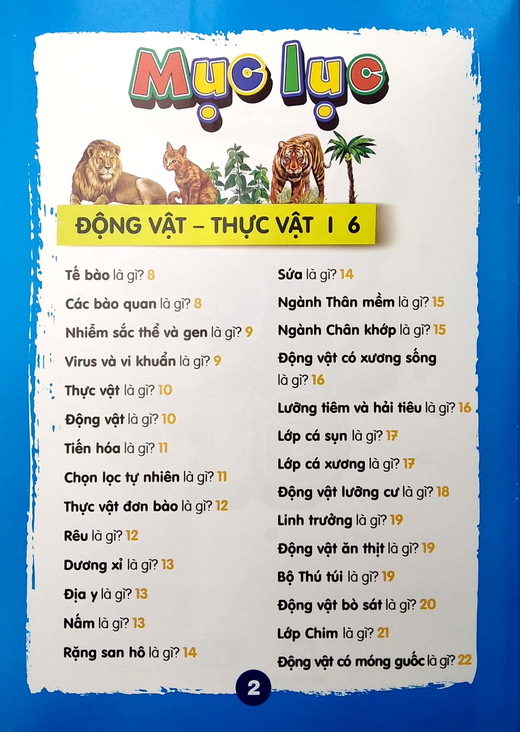chìa khóa mở cửa thế giới - em muốn biết là gì? - Ảnh 3