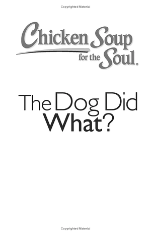 chicken soup for the soul: the dog did what?: 101 amazing stories of magical moments, miracles and... mayhem - Ảnh 3