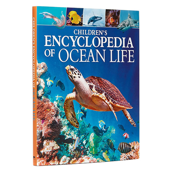 children's encyclopedia of ocean life