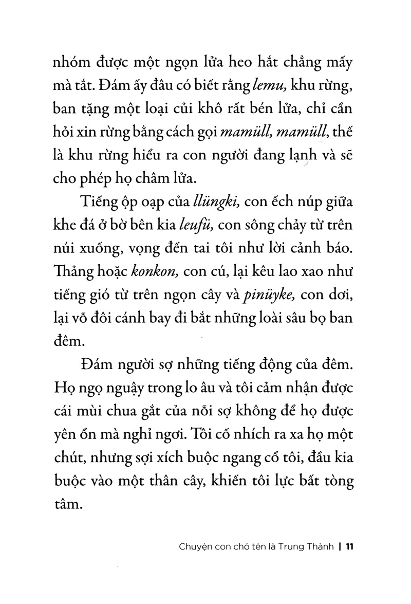 Chuyện Con Chó Tên Là Trung Thành (Tái Bản 2026) - Ảnh 4