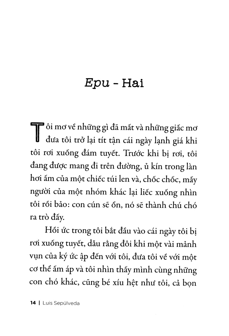 Chuyện Con Chó Tên Là Trung Thành (Tái Bản 2026) - Ảnh 7