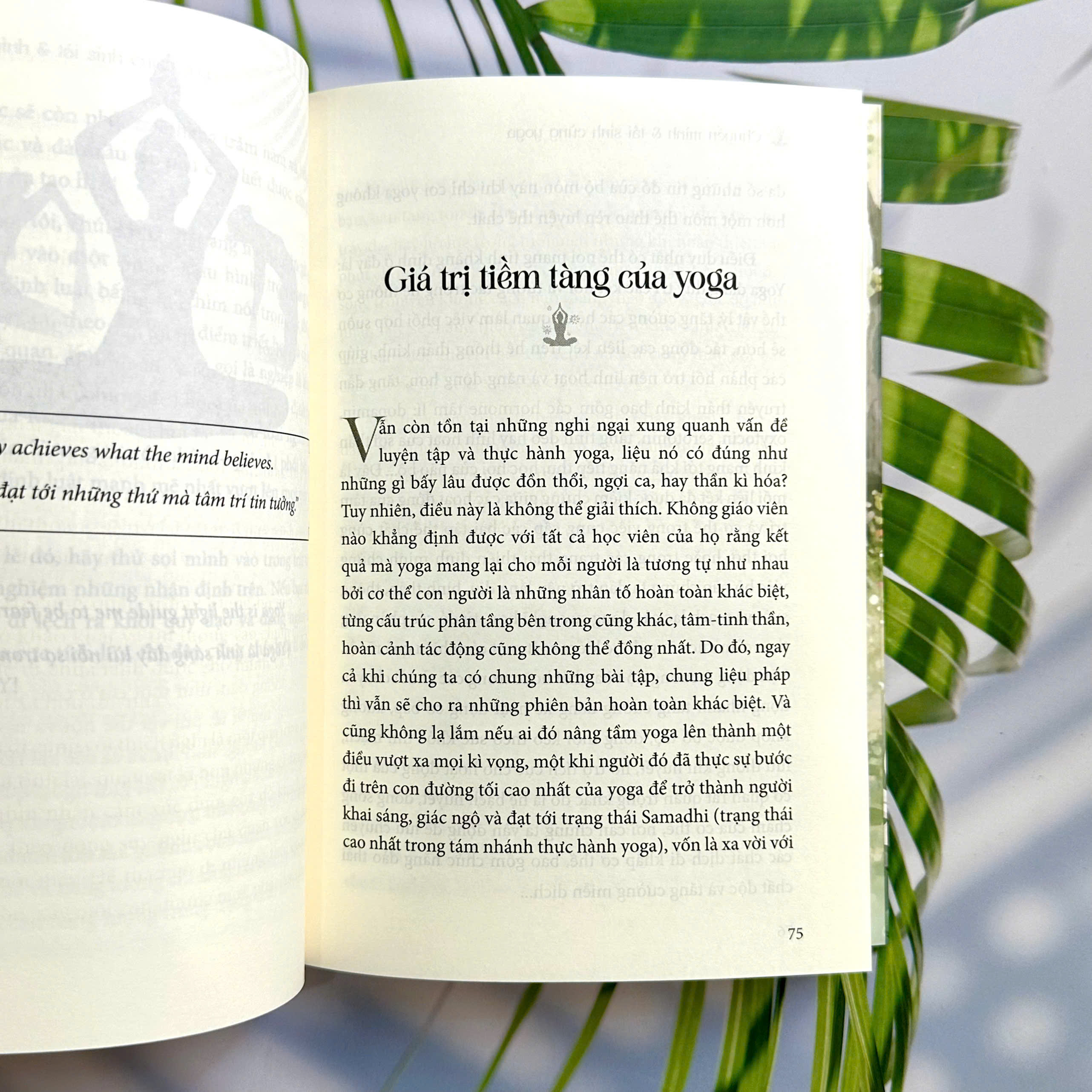 Chuyển Mình Và Tái Sinh Cùng Yoga - Ảnh 4