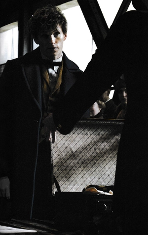 cinematic guide: newt scamander - Ảnh 6