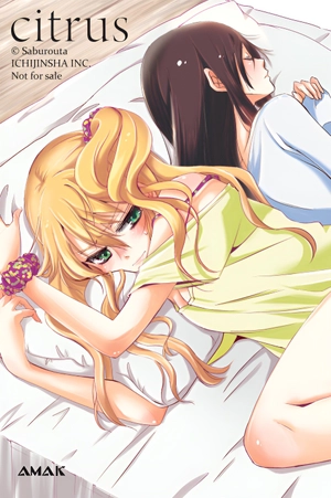 citrus - tập 1 - bản đặc biệt - tặng kèm 1 postcard hai mặt + 2 character card nhũ ánh trai + 1 tapestry a3 - Ảnh 3