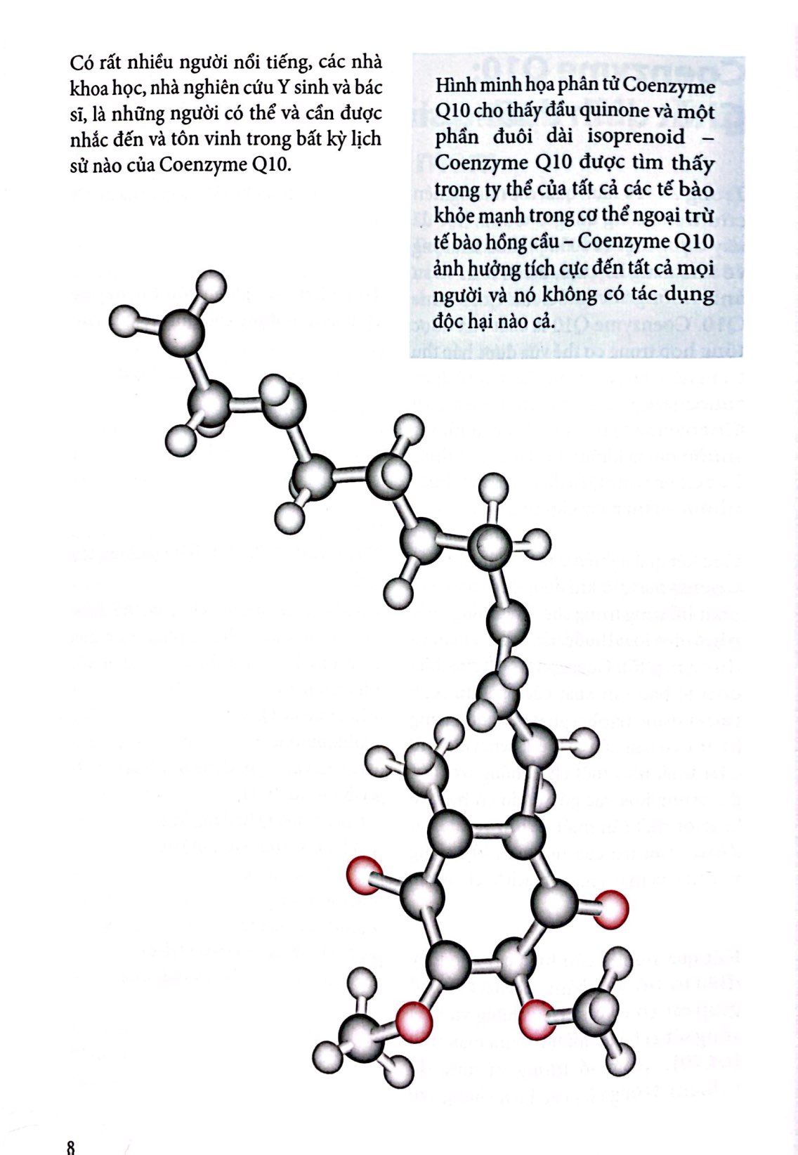 coenzyme q10 - nguồn năng lượng cho cơ thể - Ảnh 6