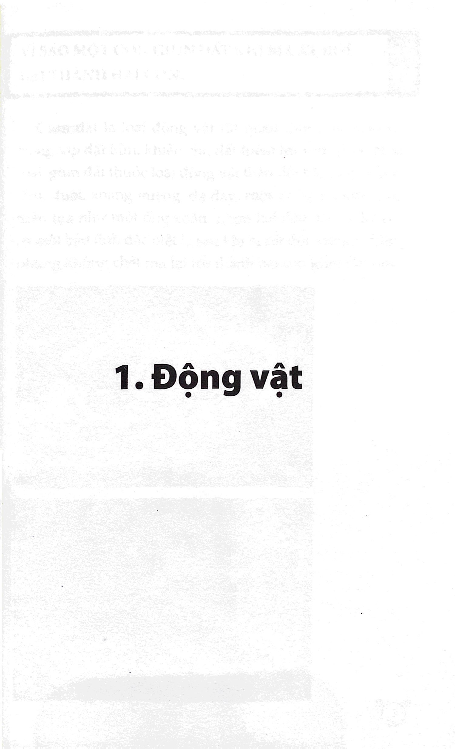 combo sách 10 vạn câu hỏi vì sao? (tái bản 2023) (bộ 5 cuốn) - Ảnh 6