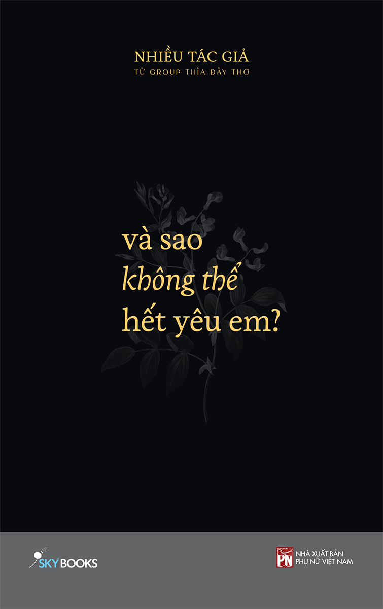 combo sách thương + và sao không thể hết yêu em? (bộ 2 cuốn) - Ảnh 2