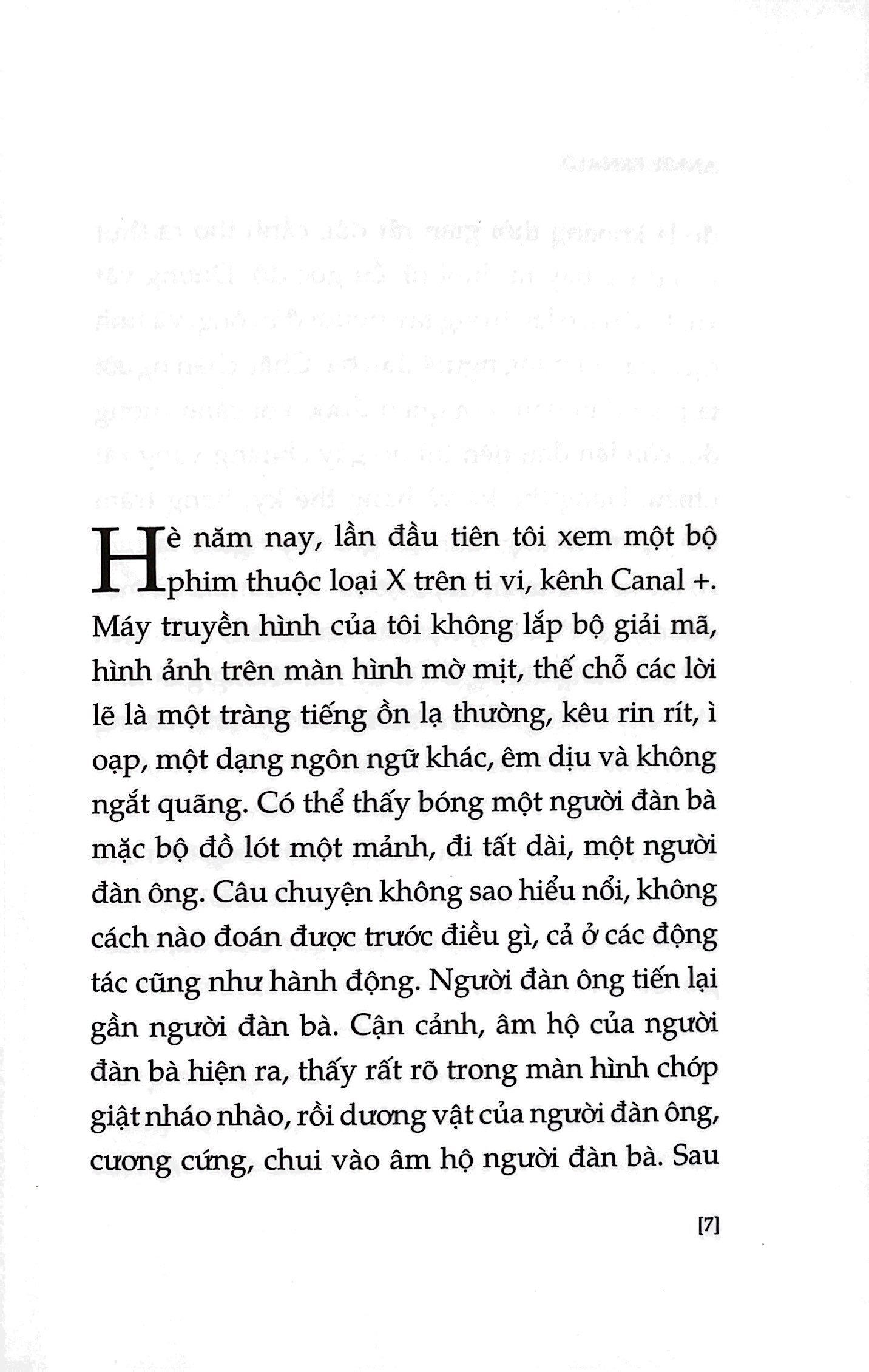 cơn cuồng si - Ảnh 3