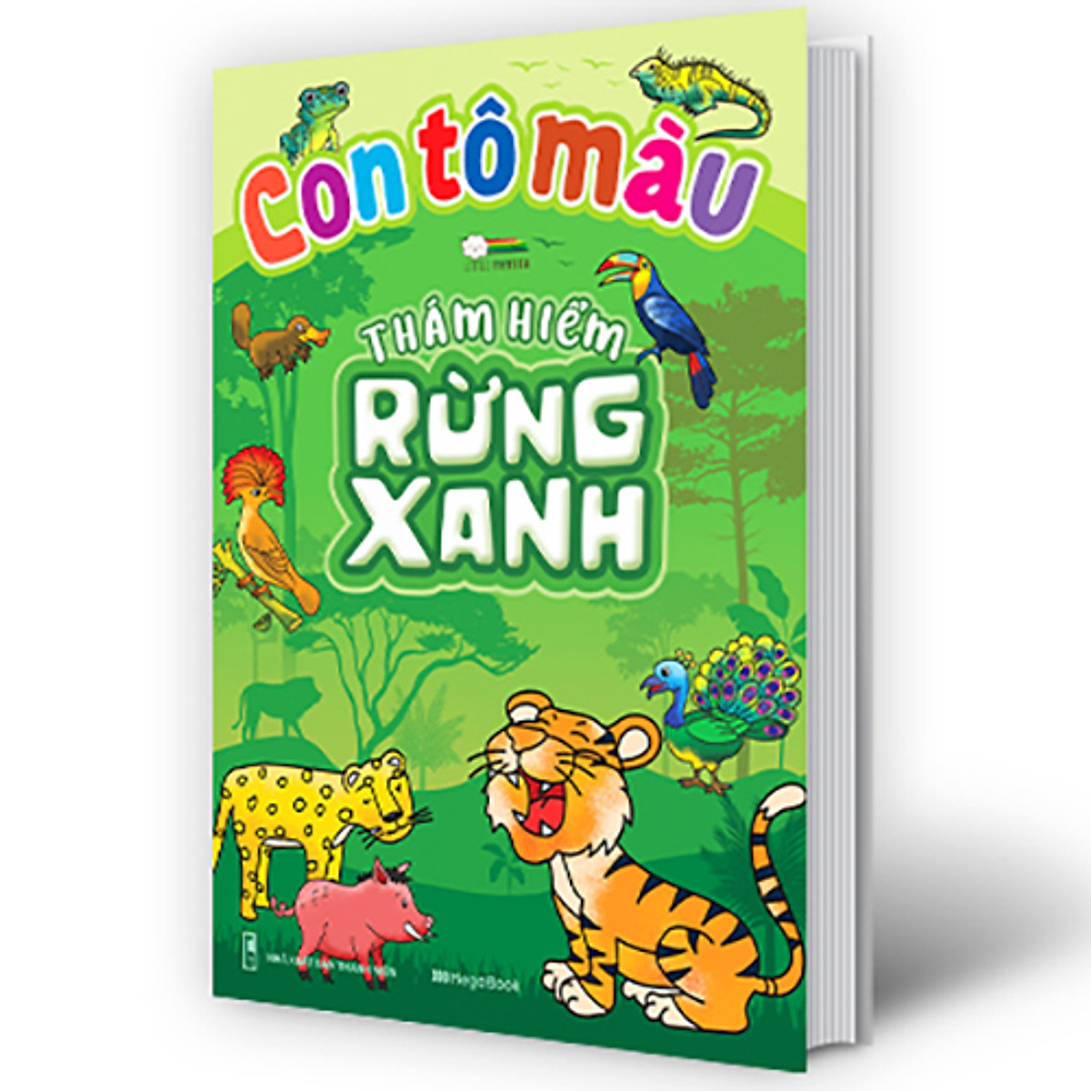 con tô màu - thám hiểm rừng xanh - Ảnh 2