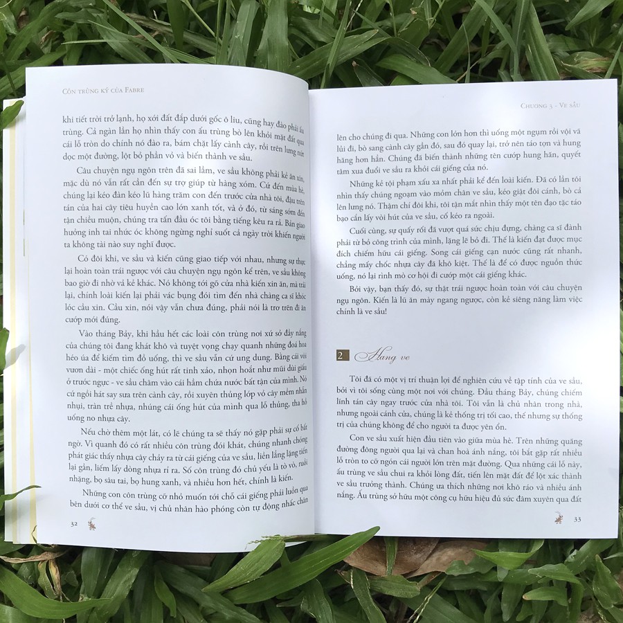 côn trùng ký của fabre - Ảnh 4