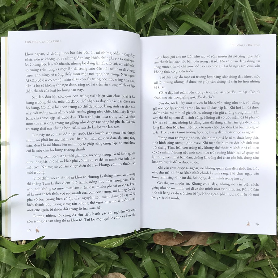 côn trùng ký của fabre - Ảnh 6
