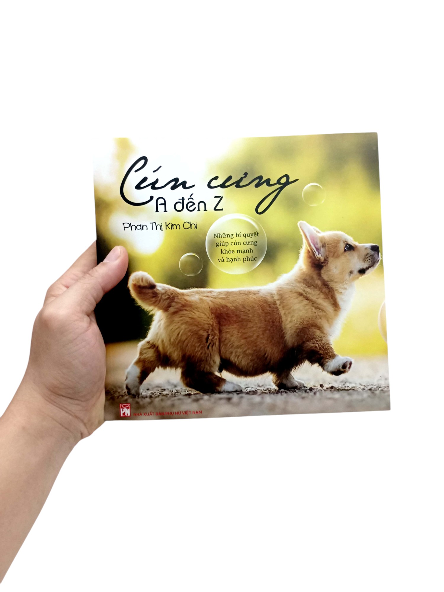 cún cưng a đến z - những bí quyết giúp cún cưng khỏe mạnh và hạnh phúc - Ảnh 8