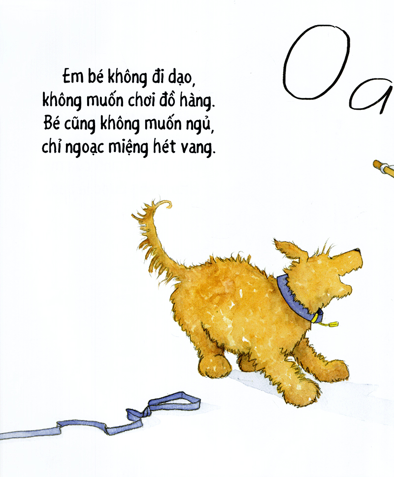 cún cưng đi dạo - những bài ca gia đình ấm áp - Ảnh 14