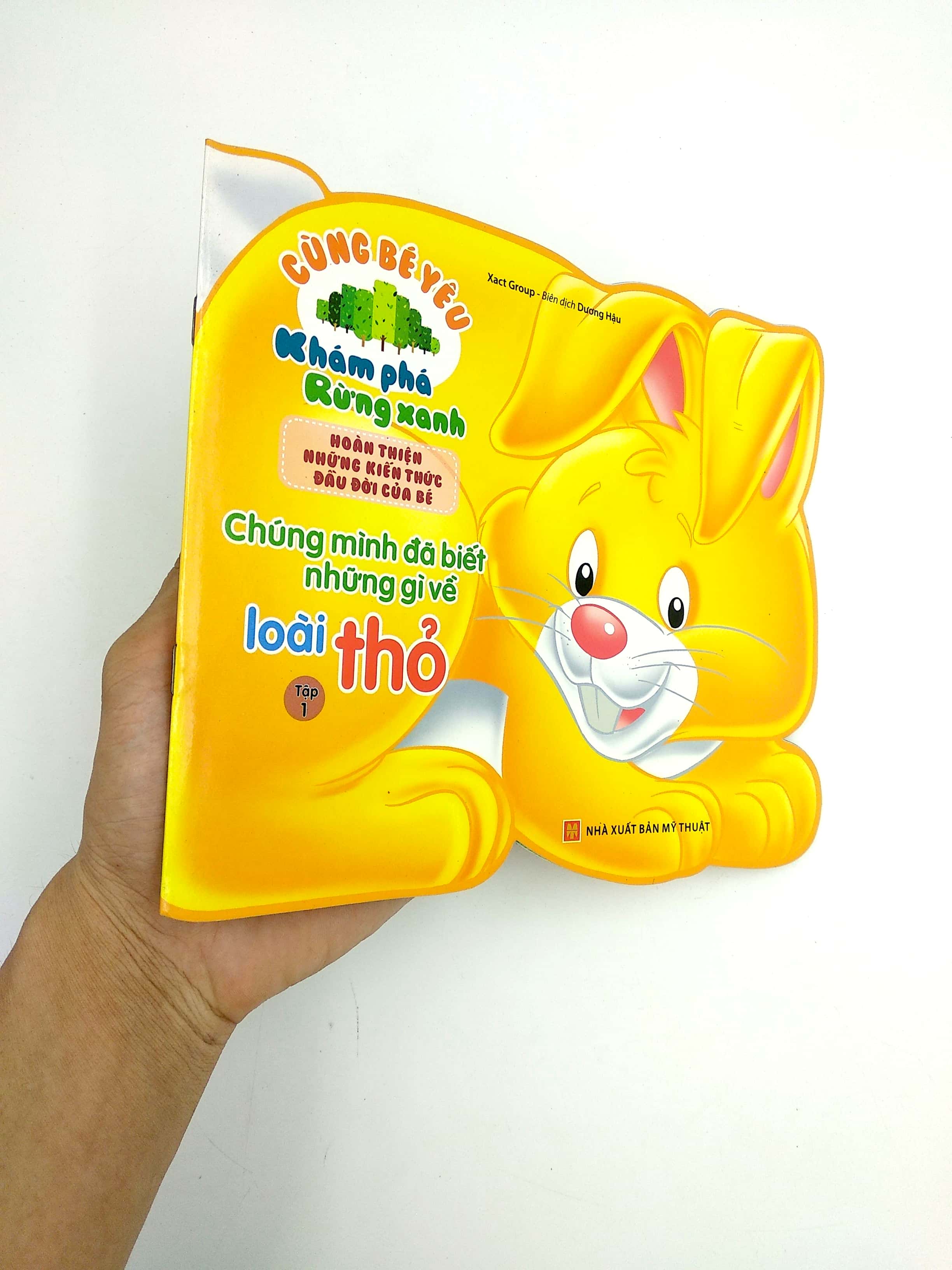 cùng bé yêu khám phá rừng xanh - chúng mình đã biết gì về loài thỏ - Ảnh 12