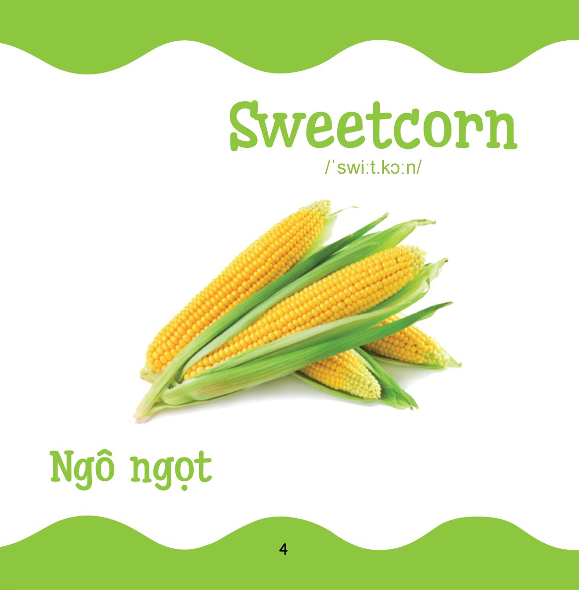 cùng con trưởng thành - từ điển bằng hình cho trẻ mầm non - rau củ quả - Ảnh 5