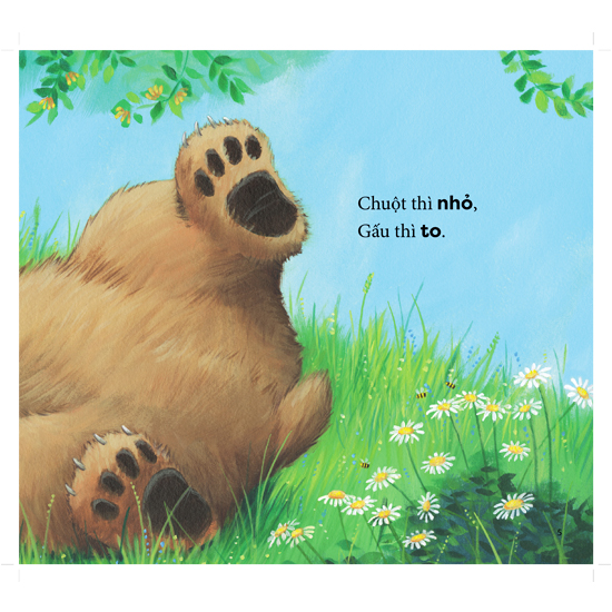 cùng gấu khám phá - the bear books: gấu to, chuột nhỏ - big bear, small mouse (song ngữ) - Ảnh 5