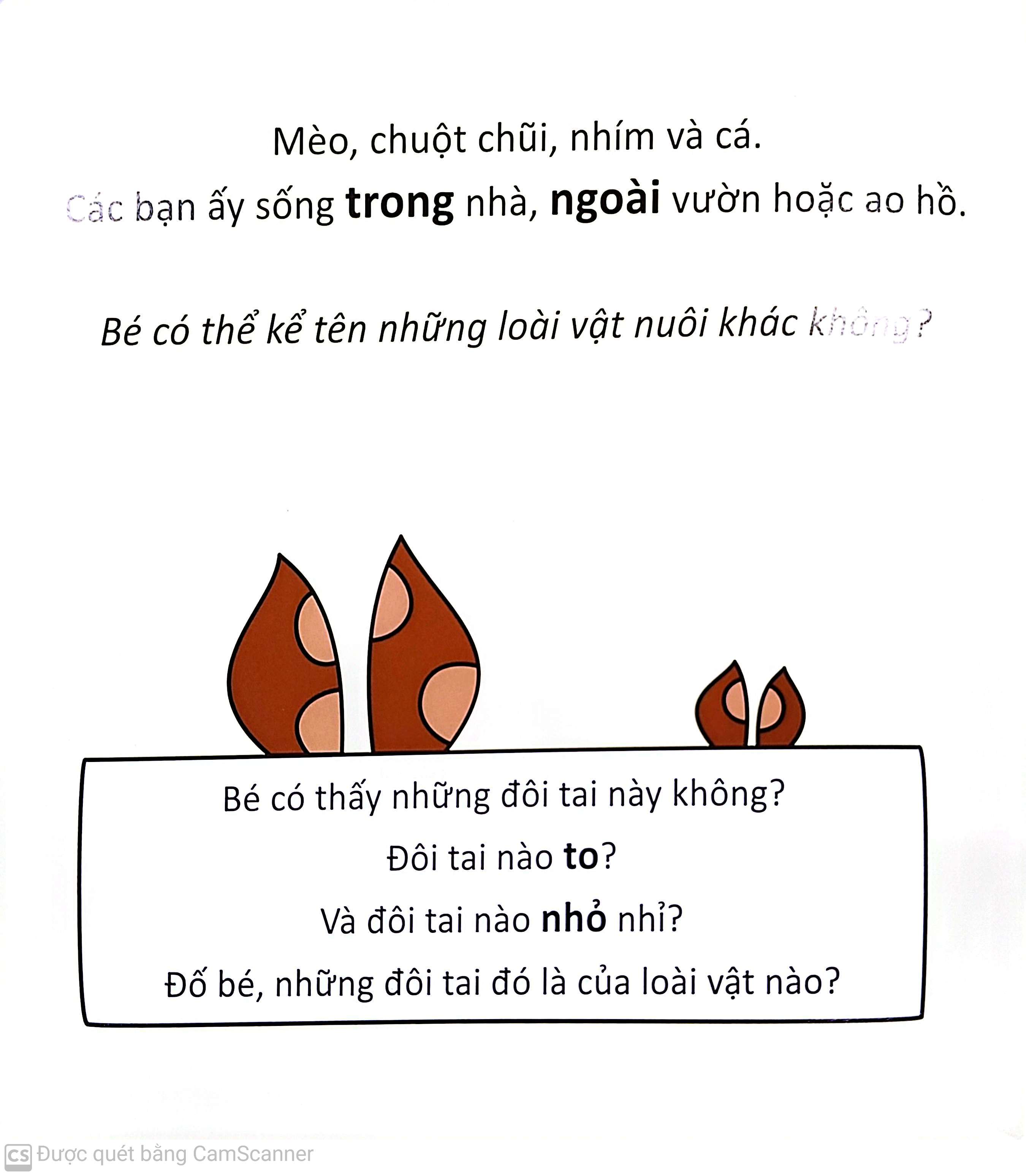 cùng tìm với bé - các bạn động vật trốn ở đâu? - Ảnh 5