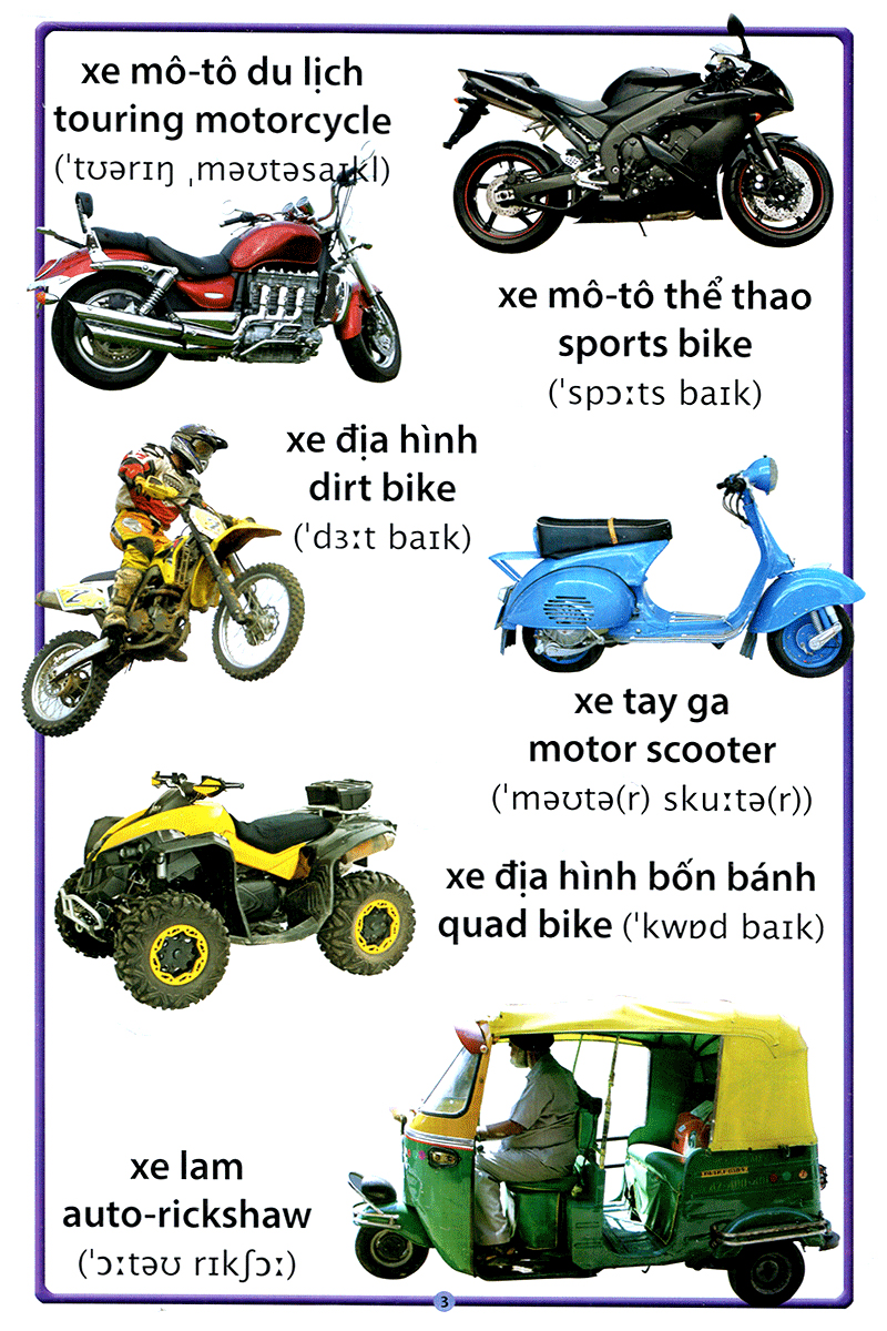 cuốn sách lớn đầu tiên của tôi - về xe cộ - Ảnh 4