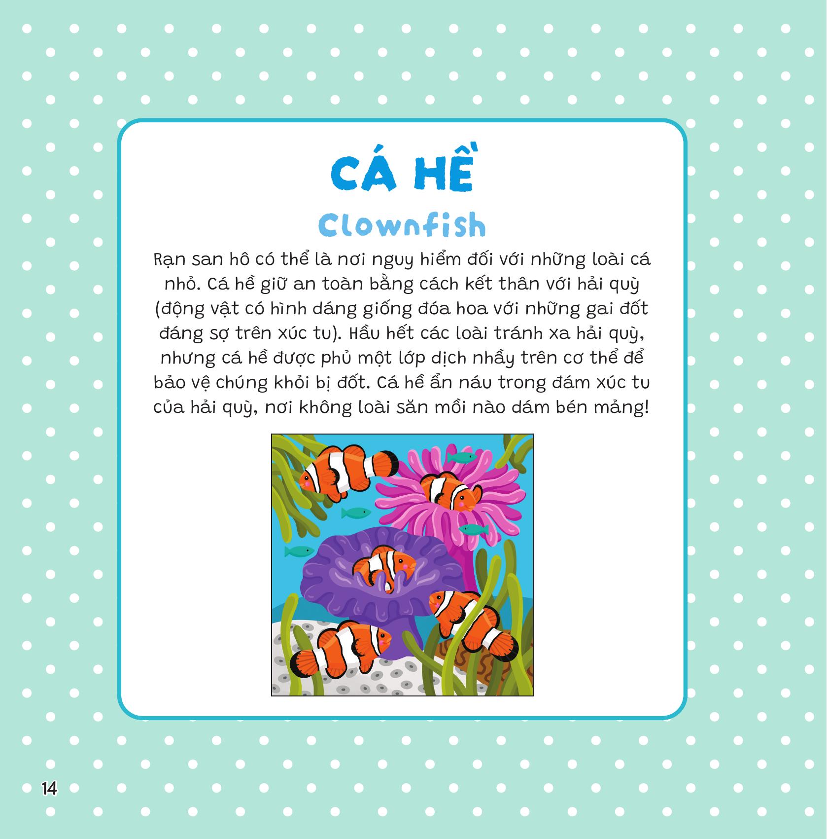 Dán Khéo Tay, Hiện Hình Ngay! - Đại Dương - Ảnh 29