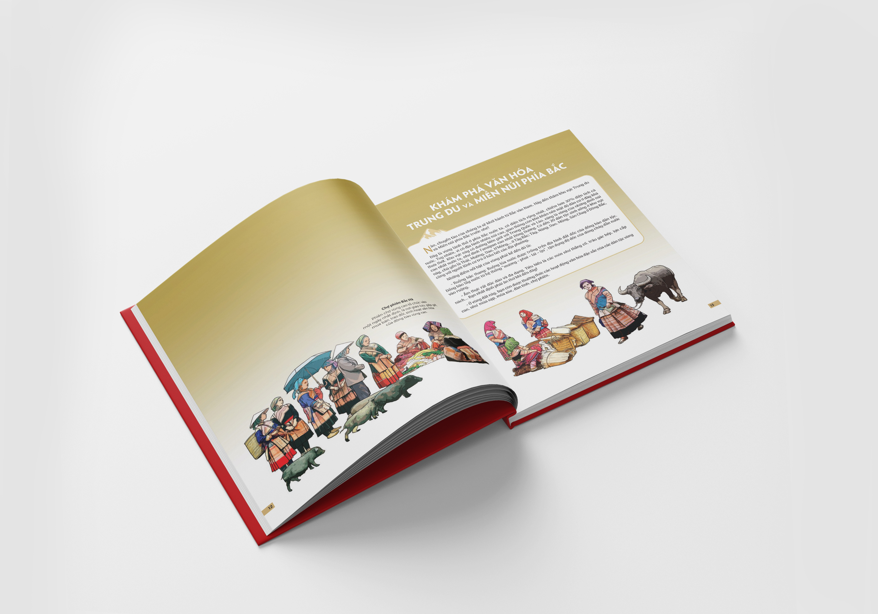Bộ Đất Nước Gấm Hoa - Atlas Việt Nam - Ấn Bản Lưu Dấu 63 Tỉnh Thành - Bìa Cứng - Ảnh 10