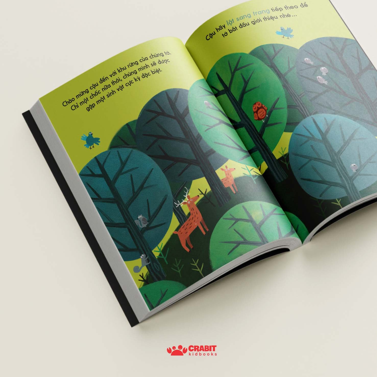đây là cú nâu - bìa cứng - Ảnh 4