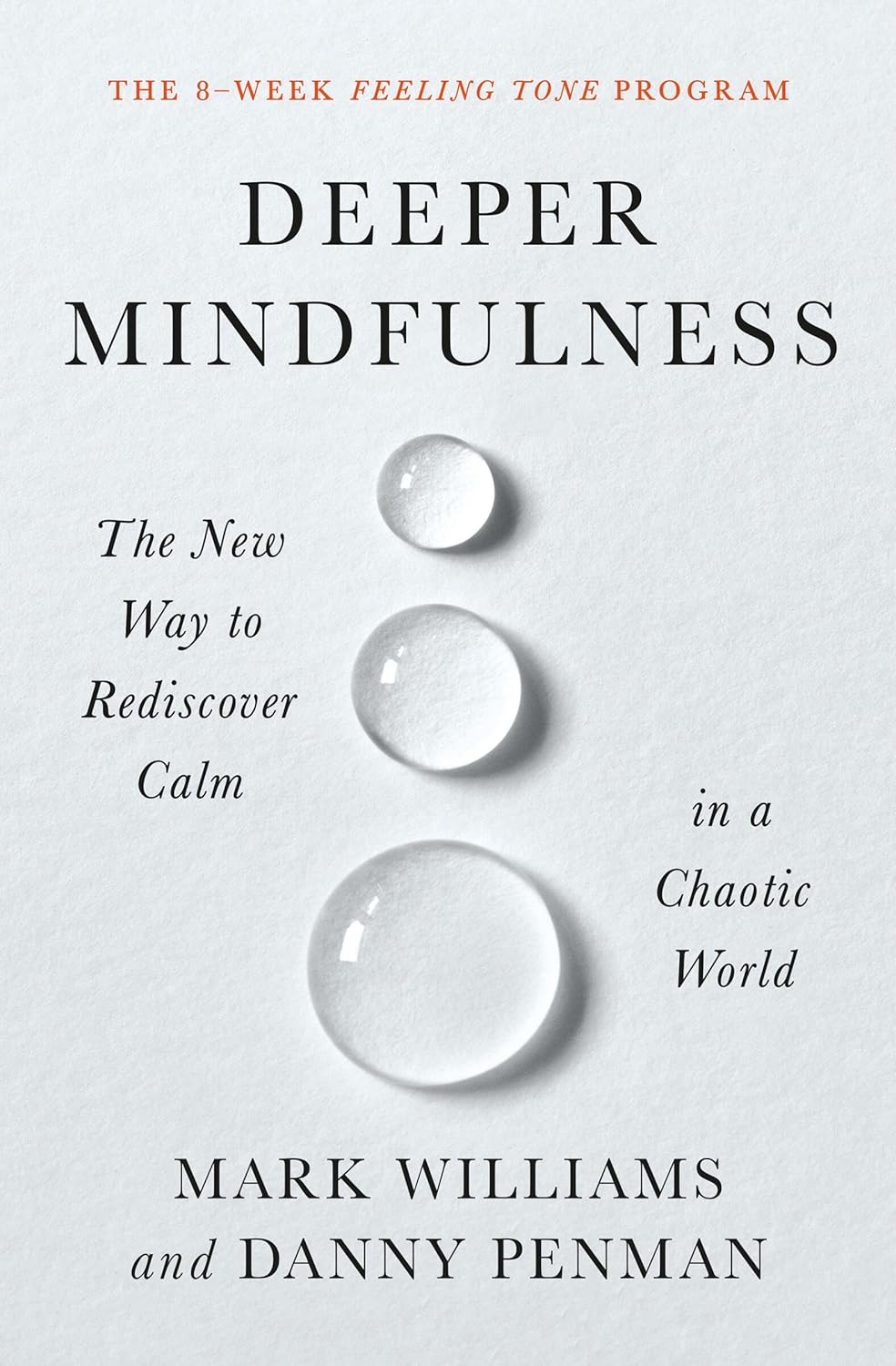 Deeper Mindfulness - Ảnh 2