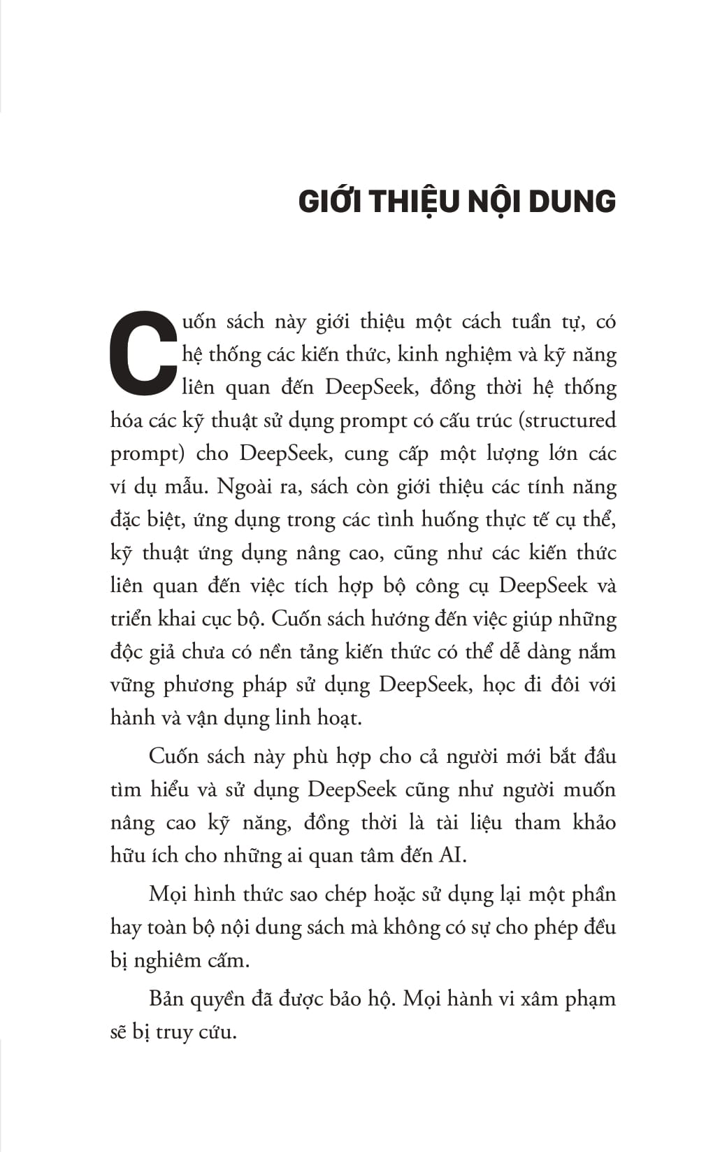 Deepseek Ứng Dụng - Làm Chủ AI Mã Nguồn Mở, Từ Cơ Bản Đến Thực Chiến - Ảnh 6
