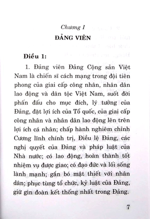 điều lệ đảng cộng sản việt nam - Ảnh 2