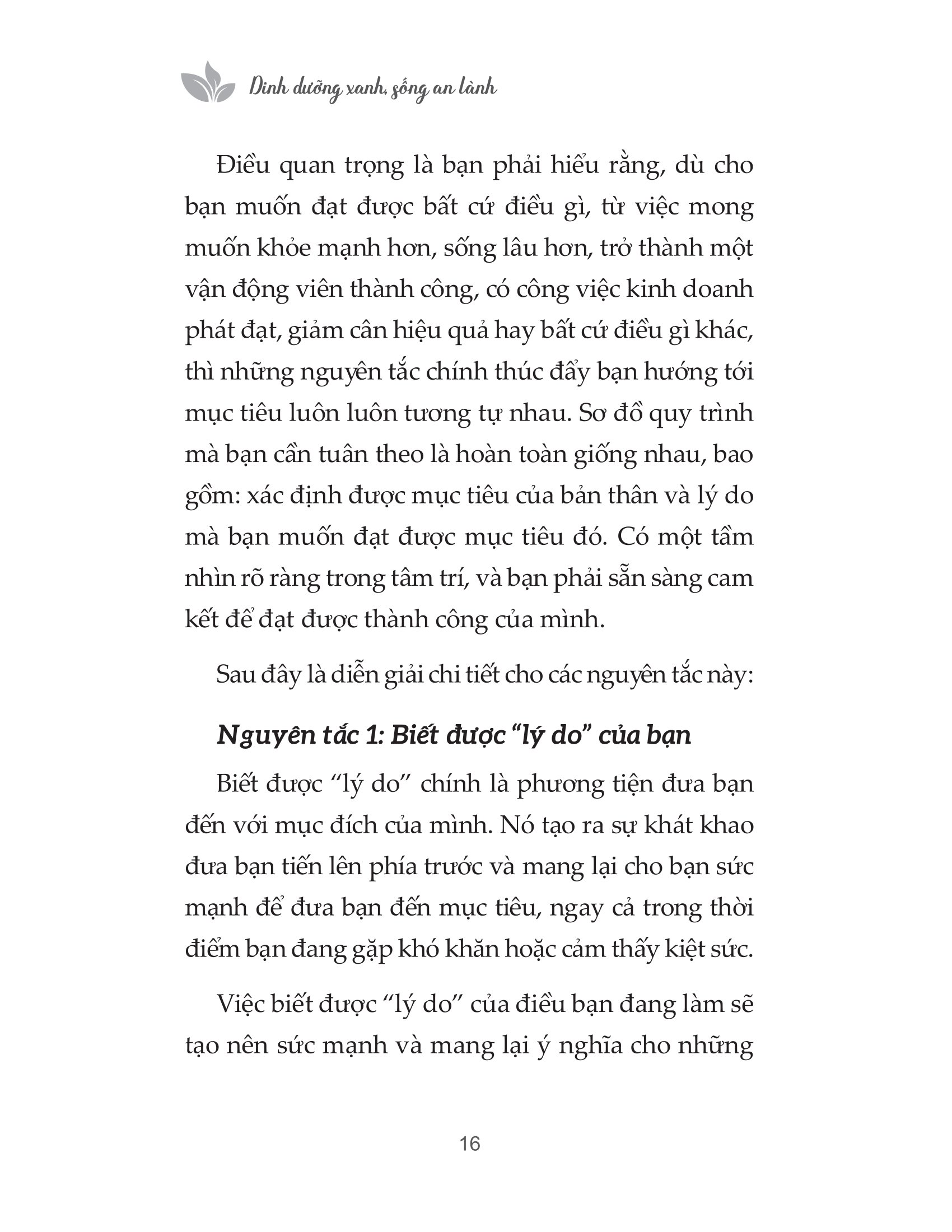 dinh dưỡng xanh sống an lành - Ảnh 15