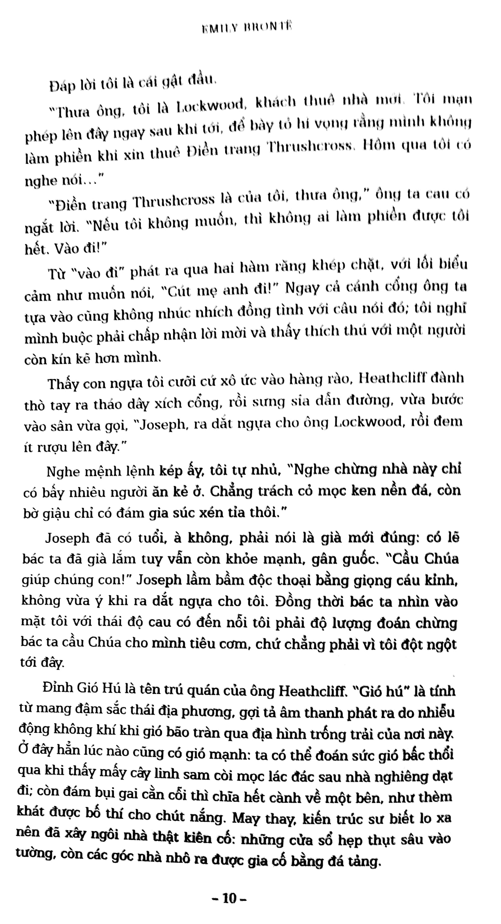 đỉnh gió hú (bìa mềm) - Ảnh 3