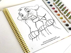 disney lion king deluxe poster paint & color - Ảnh 4
