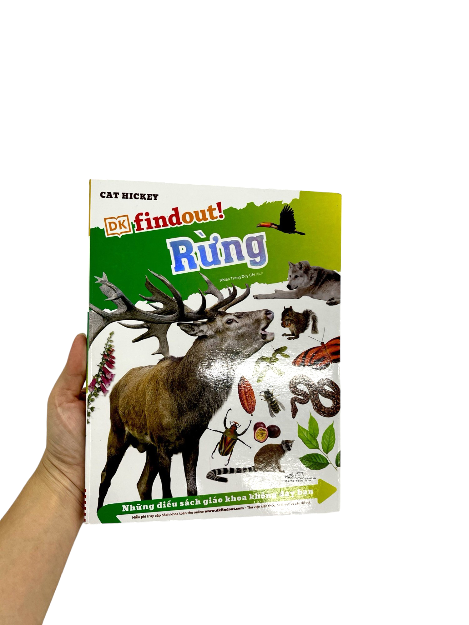 dkfindout - những điều sách giáo khoa không dạy bạn - rừng - Ảnh 10