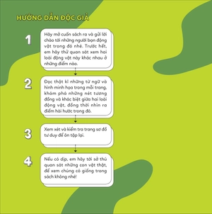 đố em phân biệt! - báo săn và báo hoa - Ảnh 2