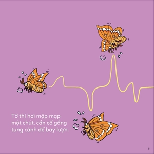đố em phân biệt! - bướm và bướm đêm - Ảnh 5
