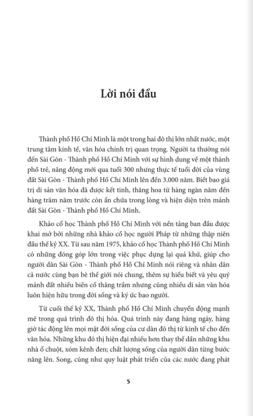 đô thị sài gòn - thành phố hồ chí minh - khảo cổ học và bảo tồn di sản (tái bản 2019) - Ảnh 3